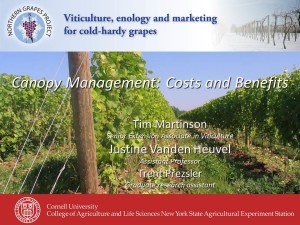 CanopyManagement