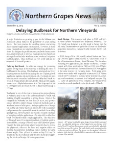 2014DecNGPnewsletter Page One